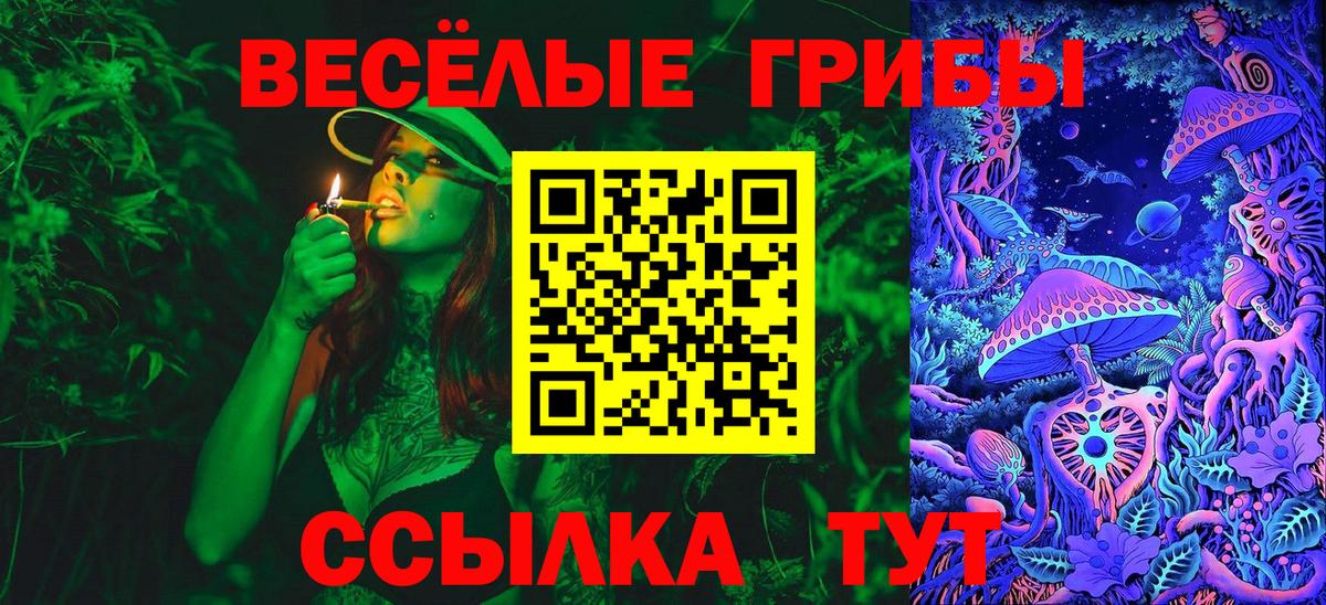 Галлюциногенные грибы мицелий  Вход с VPN  Щёкино 